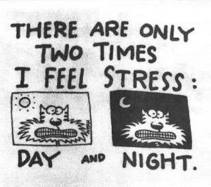 Avoid stress
