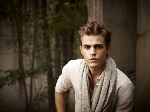 Paul Wesley as Stefan Salvatore