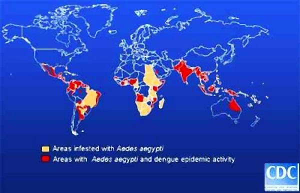 Know the areas where dengue is abundant