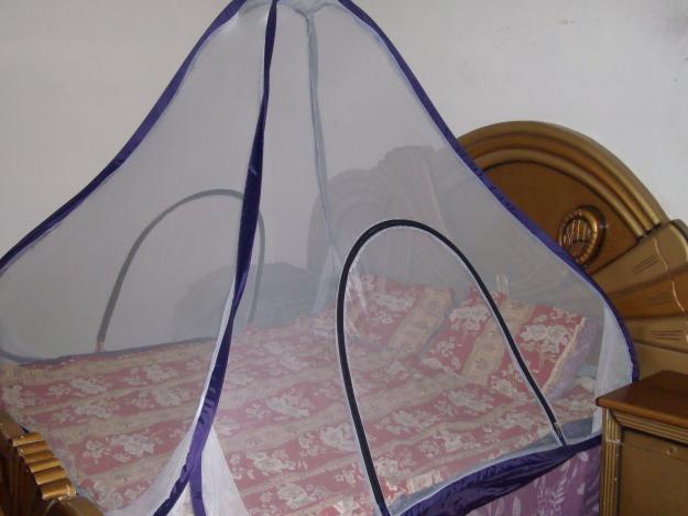 Stay indoors or sleep under mosquito nets